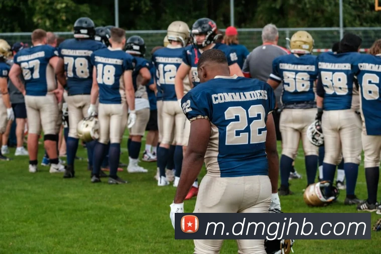 多媒体互动体验